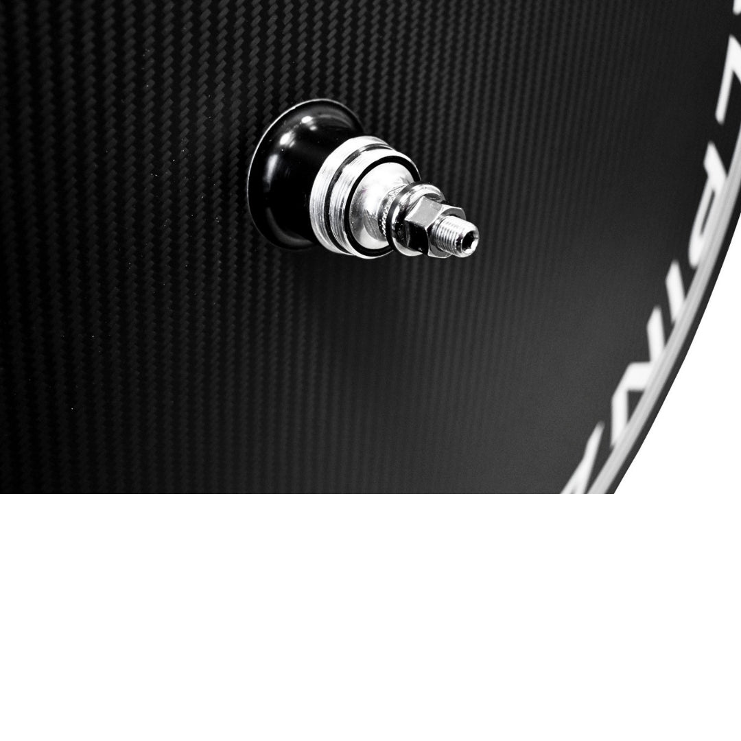 Alpina Carbon Track Rear Disc Wheel
