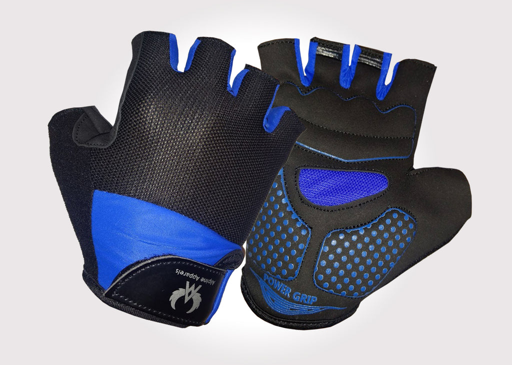 Alpine Black And Blue Gloves