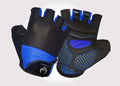 Alpine Black And Blue Gloves