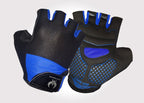 Alpine Black And Blue Gloves