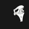 Alpine Water Bottle Cage Carbon Fibre - Ag12W