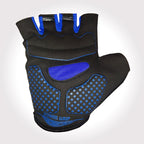 Alpine Black And Blue Gloves