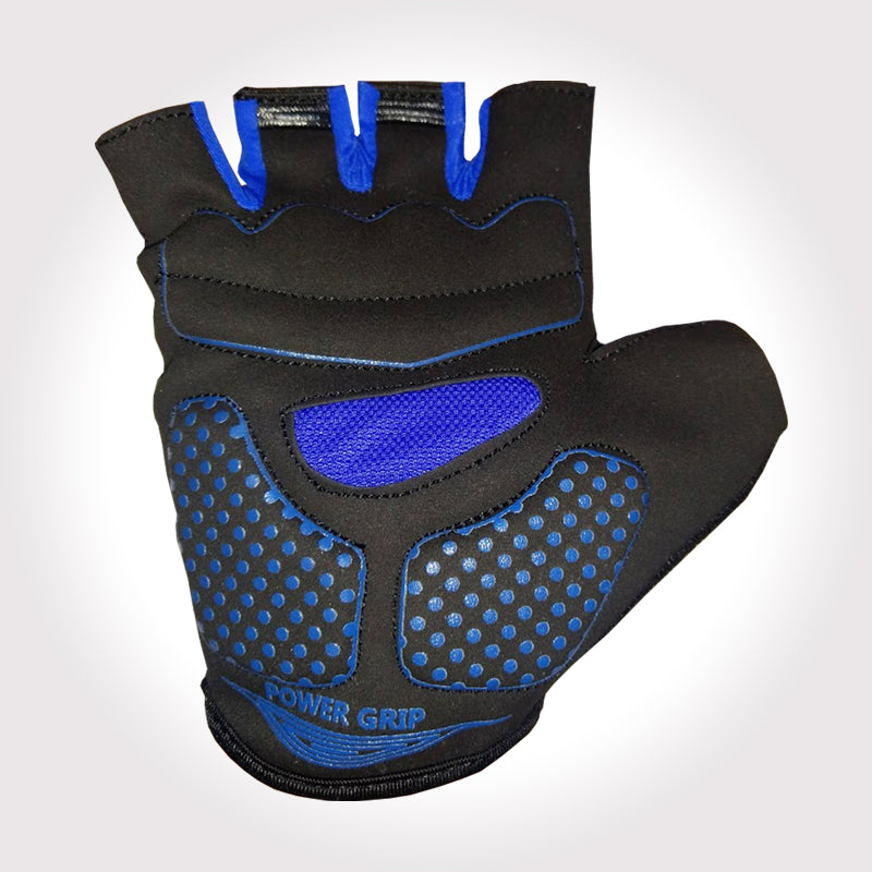 Alpine Black And Blue Gloves