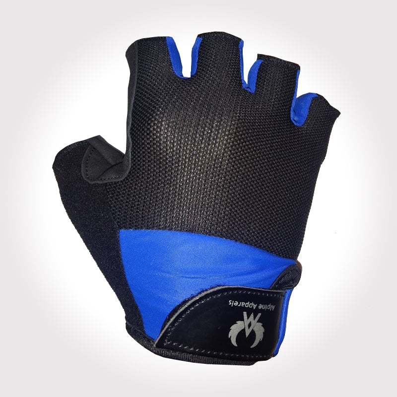 Alpine Black And Blue Gloves