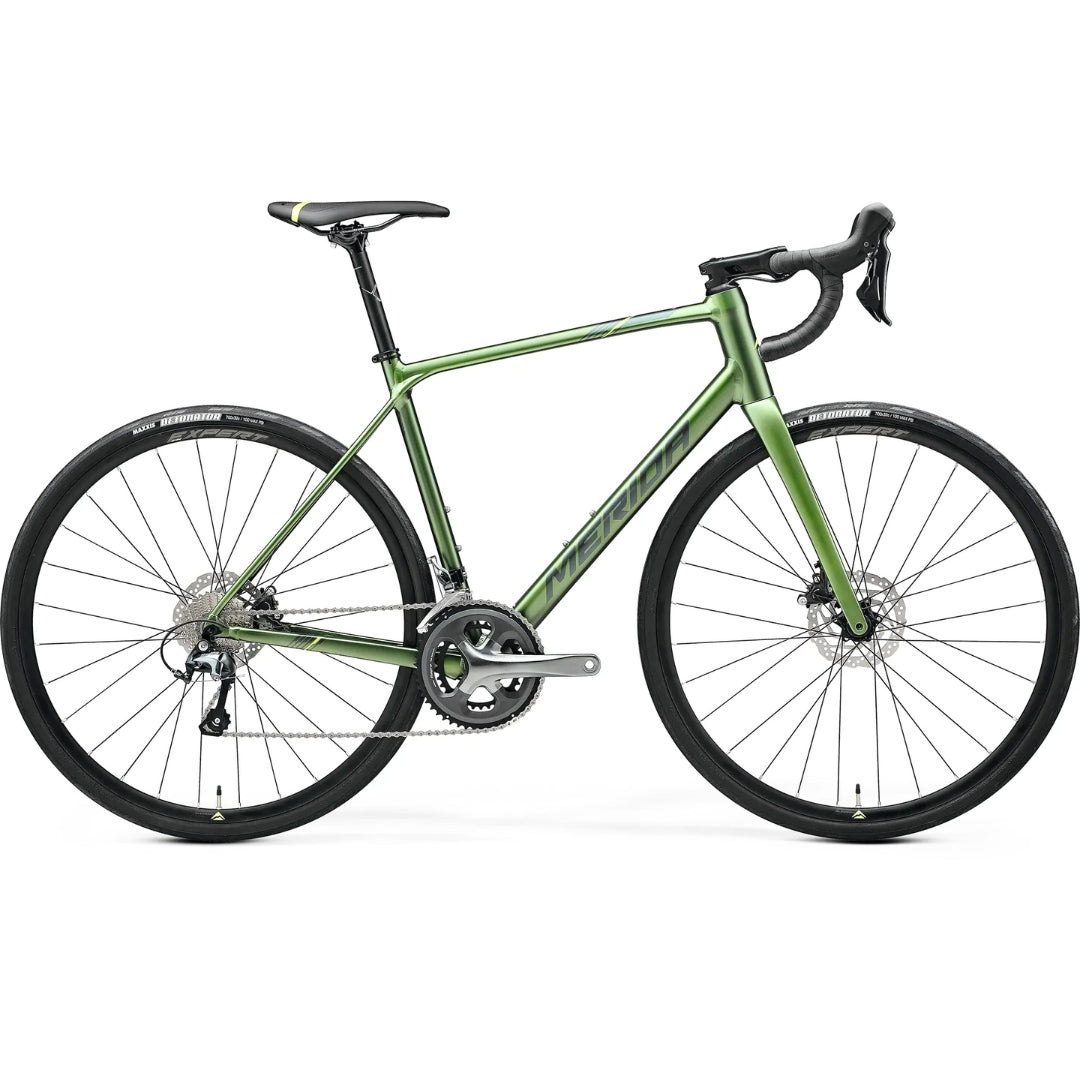 Merida Scultura Endurance 300 II2 Silk Fog Green(Green Silver)