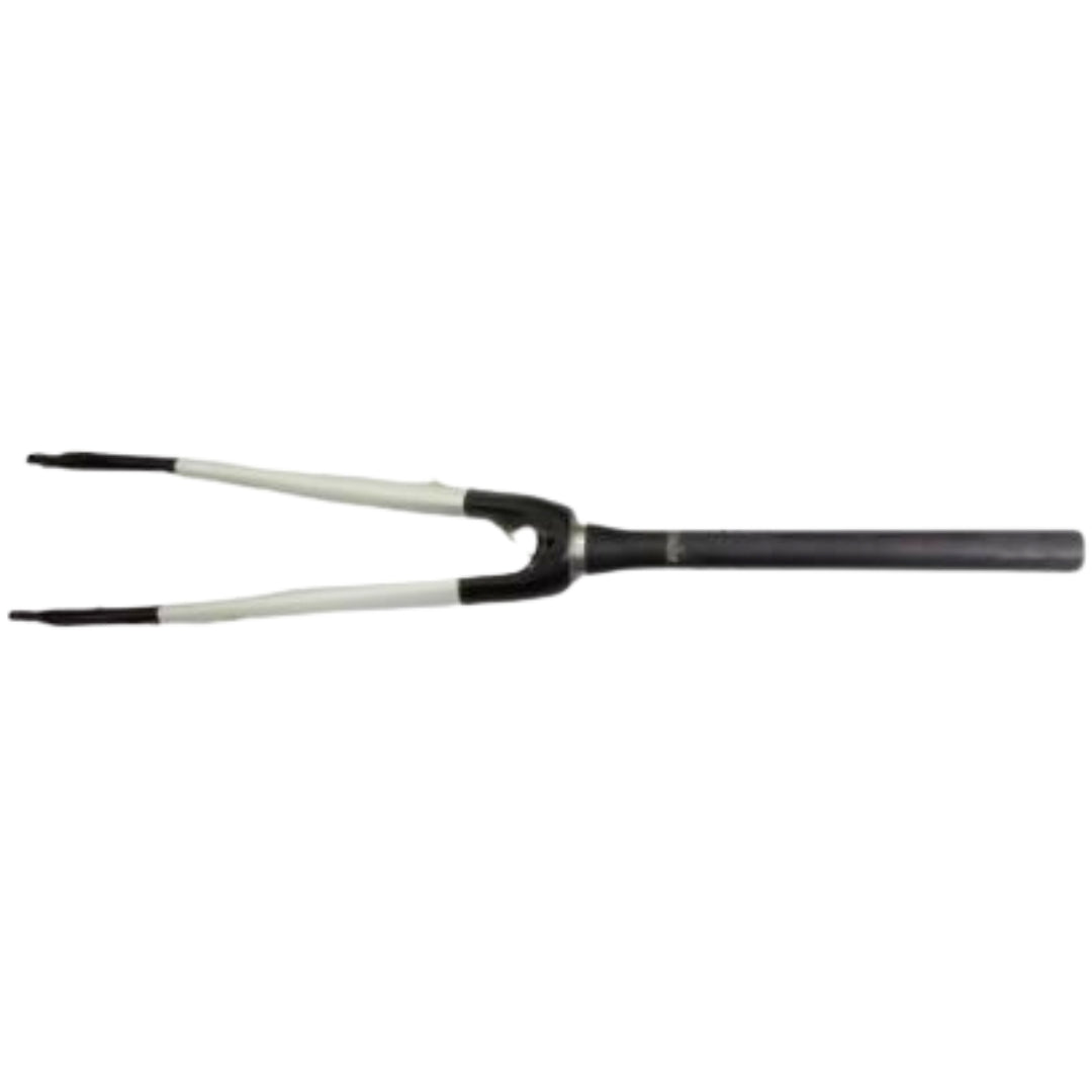 Carbonal Road Carbon Fork
