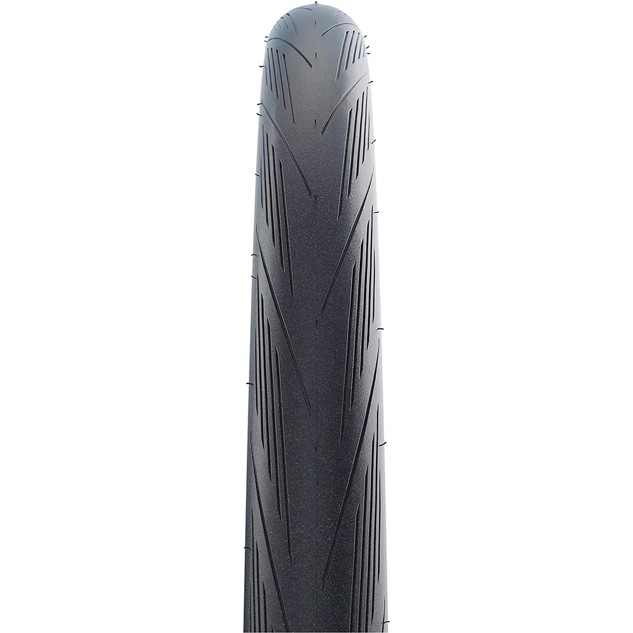 Schwalbe Lugano Ii