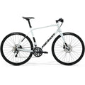 Merida Speeder 300 III1 Pearl White(Guarded Gold)