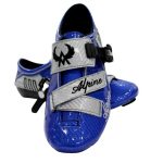 blue20clip20shoe201.jpg